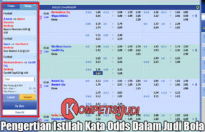 Pengertian Istilah Kata Odds Dalam Judi Bola